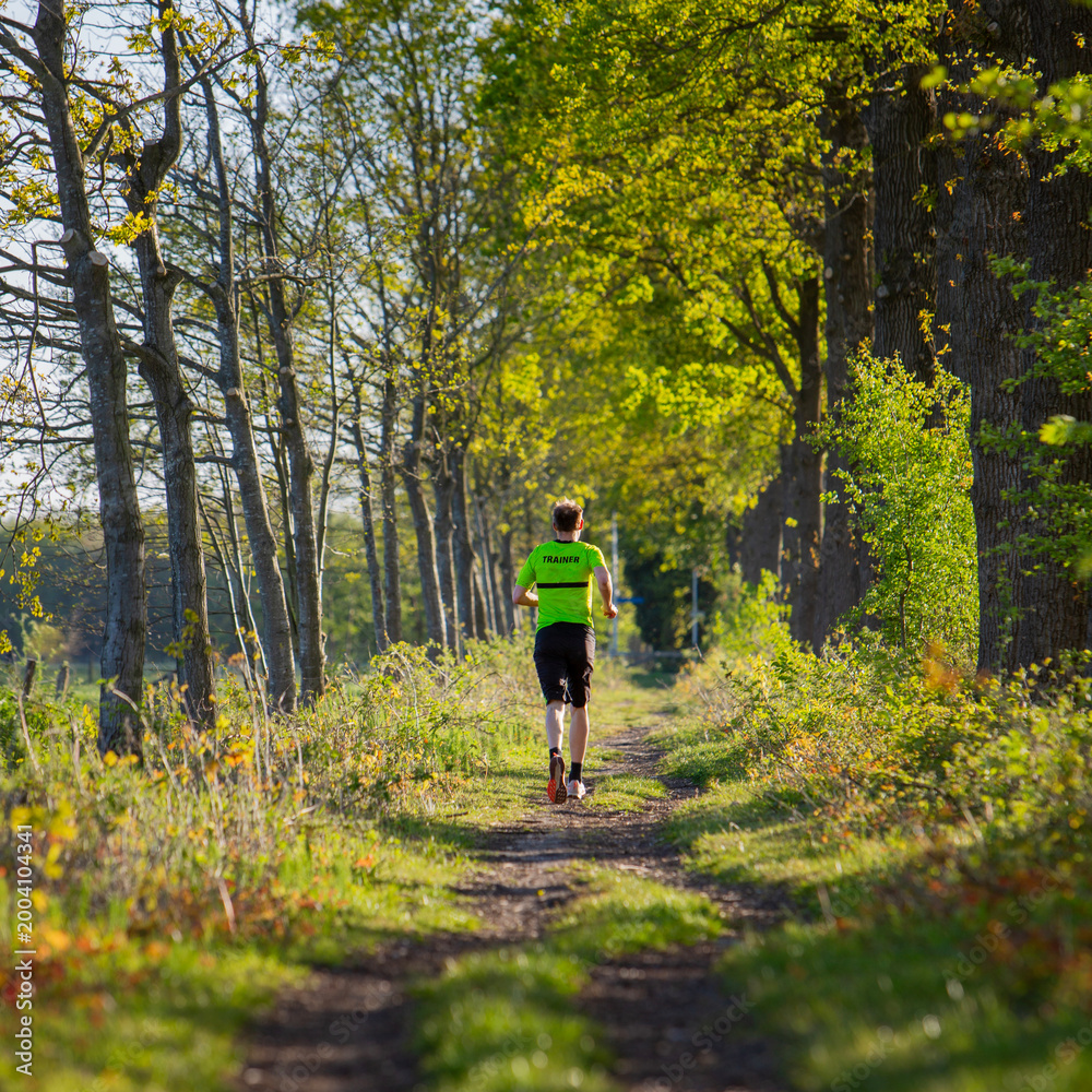 Obraz premium man jogs on dirt track near spring trees in the netherlands