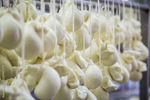Foto Mozzarelle appena fatte