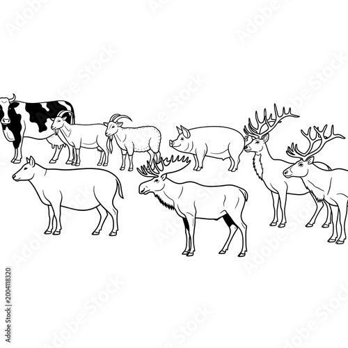 Line drawing of various animals.