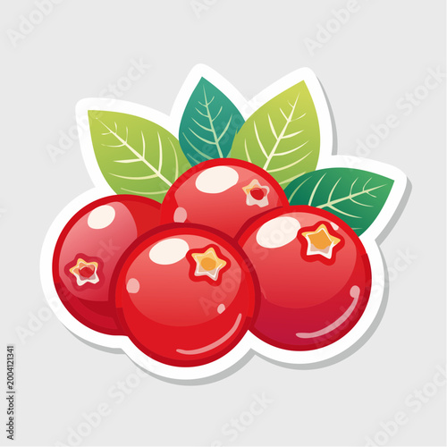 Illustration of Cranberries with Leaves