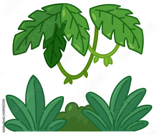 Jungle