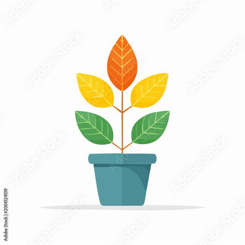 Potted plant with leaves changing color from green to yellow and orange
