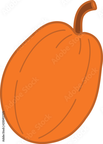  Papaya simple icon illustration style