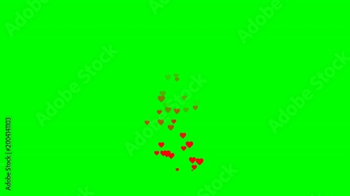 Animated red hearts floating upward on green screen background for chroma key overlay