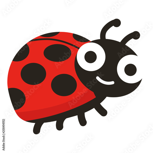 Ladybug Isolated On White Background