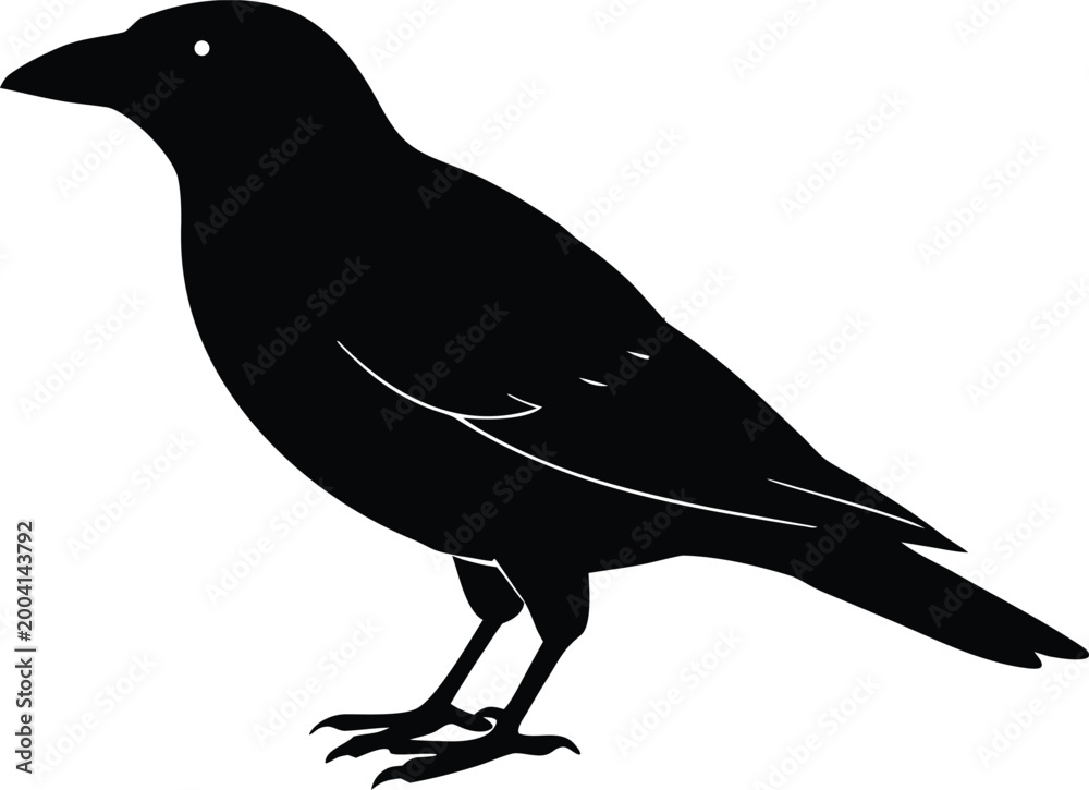 Fototapeta premium Crow Raven Bird Silhouette Vector Illustration Graphic