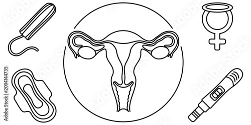 A set of icons on women's health and the reproductive system. Female anatomy, menstruation, and hygiene. Linear icons on gynecology. Vector collection on the menstrual cycle and feminine hygiene.