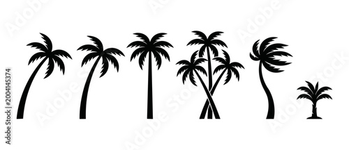 Palm tree silhouette set, tropical coconut palm icons, black isolated vector trees for beach design, summer vacation summer landscape elements, flat graphic coastal plant silhouettes for creative proj