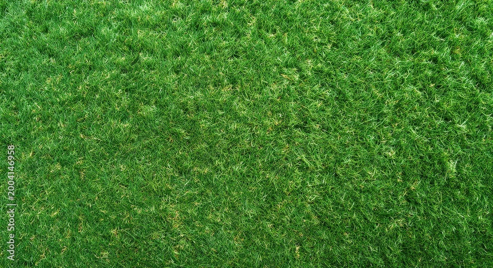 Fototapeta premium A close-up view of a lush, green grass field with dense, healthy blades covering the ground uniformly.