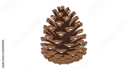 Minimalist brown pine cone vector illustration on white background