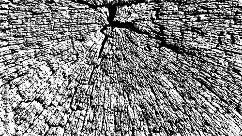 Grunge tree wood texture background. Distressed black and white grainy timber cross section. Abstract vector illustration with grit, noise and rough scratch effect for overlay design.