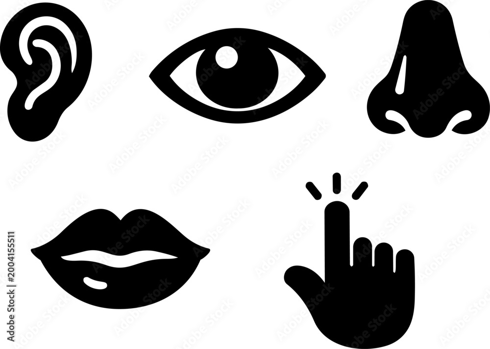 Obraz premium Human senses and perception silhouette icon set