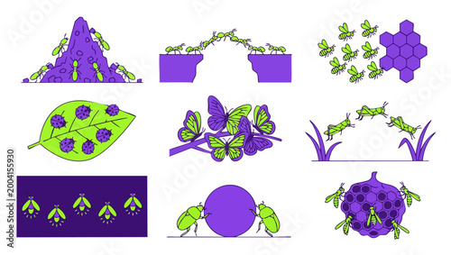 Insects and Bugs Icon Set, Ant Colony, Bee Hive, and Butterfly Collection. Flat Line Vector Illustrations of Garden Wildlife, Nature Study, Entomology Concepts, and Educational Biology Infographic Ele