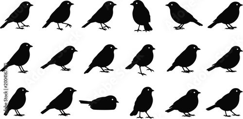 Photos Bird Silhouette Collection with Various Standing and Perching Poses, Minimal Bla