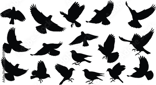 Flying Bird Silhouette Collection with Various Wing Positions, Minimal Black Wildlife Set for Nature Illustration, Logo Design, and Graphic Elements