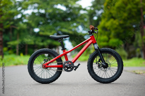  Kids bicycle in the park path