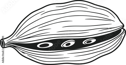 Foto Detailed black and white line art illustration of an open cardamom pod with visi