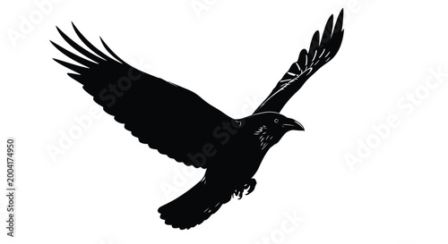 bird silhouette in flight with detailed wings on white background