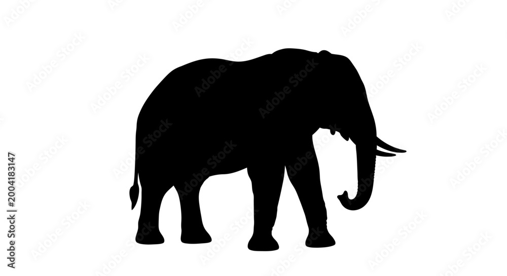 Fototapeta premium Elephant Silhouette On White Background high quality professional