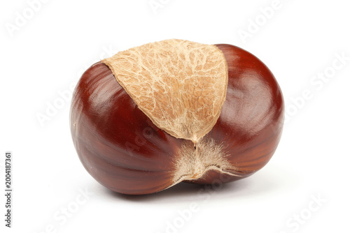 A single raw chestnut with a smooth brown shell and light tan textured area on white background