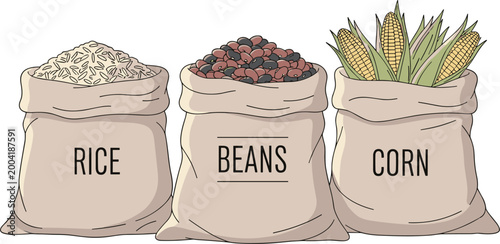 Photography Illustration of bags filled with rice, beans, and corn, representing staple food ingredients in a minimalist vector style