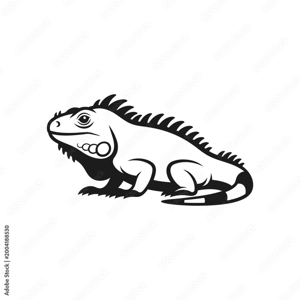 Fototapeta premium Black and white iguana side view.
