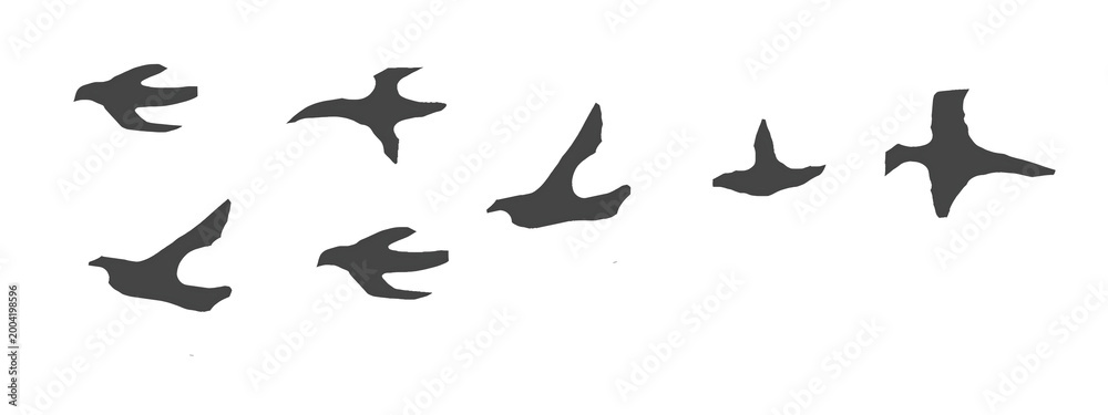 Obraz premium Five dark birds soaring together across a clean empty space isolated on transparent