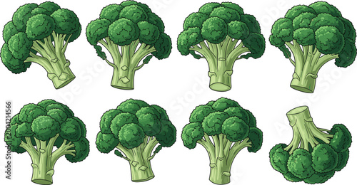 Fresh Green Broccoli Florets Vector Collection Featuring Multiple Healthy Vegetable Sprigs for Organic Food, Nutrition, Cooking, and Culinary Graphic Design Projects
