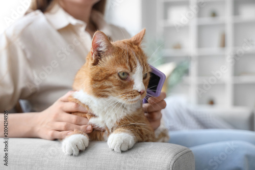 Woman brushing her cat on s...