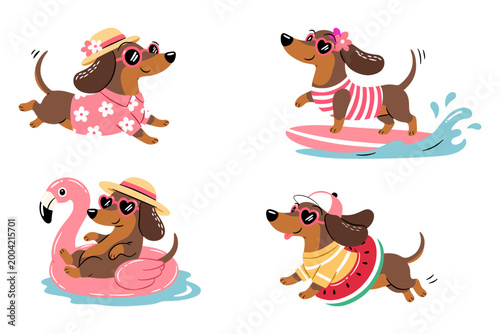 Photography Cute dachshund summer activities set with surfing swimming relaxing and running