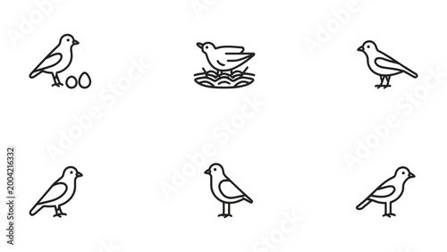 Fotografija Bird Icon Set: A collection of simple, line-art icons depicting various bird poses and actions, including nesting and standing, presented in a clean, graphic style