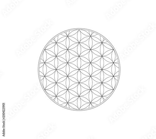 Flower of life, mandala, Sacred geometry symbol. Structure of universe sign. Esoteric and magic icon