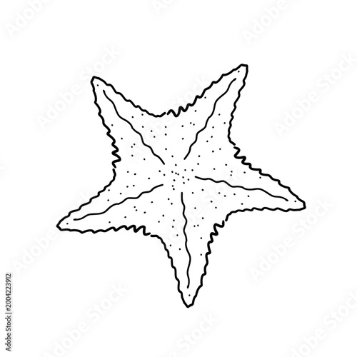 Starfish outline, line art drawing, hand drawn vector illustration, starfish icon. Marine life. Vector illustration isolated on a white background for design and web.