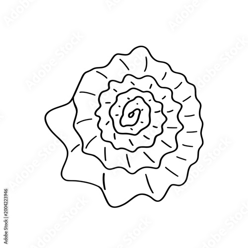 Seashell outline, line art drawing, hand drawn vector illustration, Seashell icon. Marine life. Vector illustration isolated on a white background for design and web.