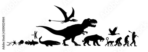Evolution of life on Earth. Silhouette.