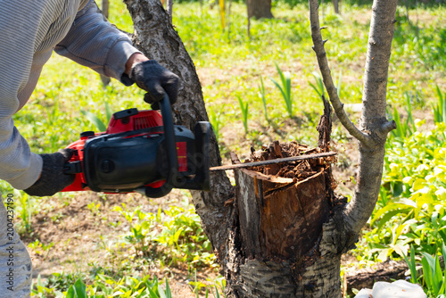 Foto Man Cutting Tree Branch with Chainsaw in Garden