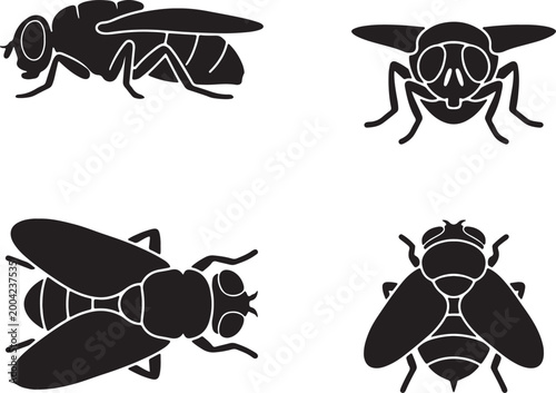 fly silhouette icons set side front back top view insect vector illustration