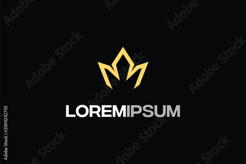 Abstract Crown logo vector image template