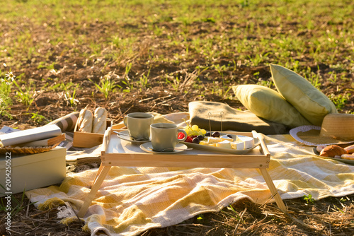 Picnic with tasty food, tea...