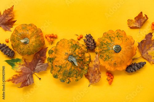 Autumn composition with pum...