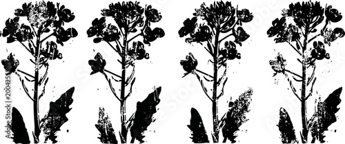 Silhouettes of flowering plants with leaves in black and white four variations isolated on white background