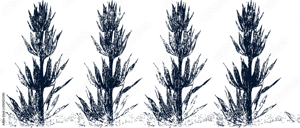 Fototapeta premium Black silhouette of four wheat plants growing in soil agriculture and nature concept illustration