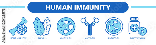 Human Immunity web banner icon vector illustration concept with icons of bone marrow, thymus, white cell, antigen, pathogen, and multivitamin.