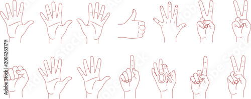 Hand Gesture Outline Icon Set with Finger Counting Signs Thumbs Up OK Symbol and Human Communication Expressions Minimal Line Illustration for UI Design.
