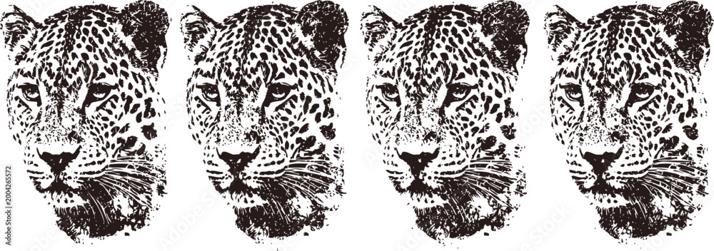 Obraz premium four detailed jaguar faces in black and white, wild big cats with spotted fur and intense gaze
