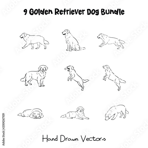 9 Golden Retriever Dog Action Bundle Hand Drawn Line Art Vector Illustration Coloring Page