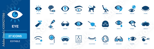 Vision Care and Eye Solid Icon Set Examining Eyebrow Guide Dog Microscope Clock Eyelashes Dropper Sunglasses Sore Watery Mirror Chart Extension Contact Lens Reading Checkup Eyedrops Sight
