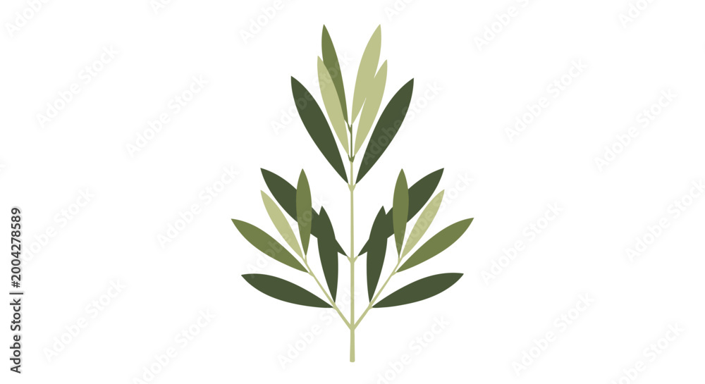 Fototapeta premium Stylized Minimalist Olive Branch Illustration with Green Leaves Graphic Design Element