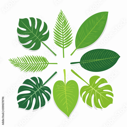 Collection of Tropical Leaves Arranged in a Circle