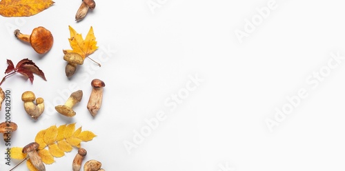 Mushrooms and autumn leaves...